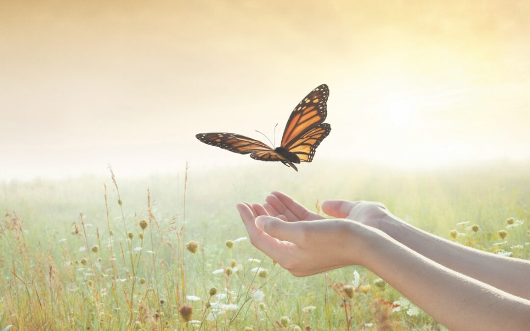 The Happiness Study: Lessons from Lives Well-Lived